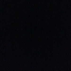 Meet your Posher, Damon